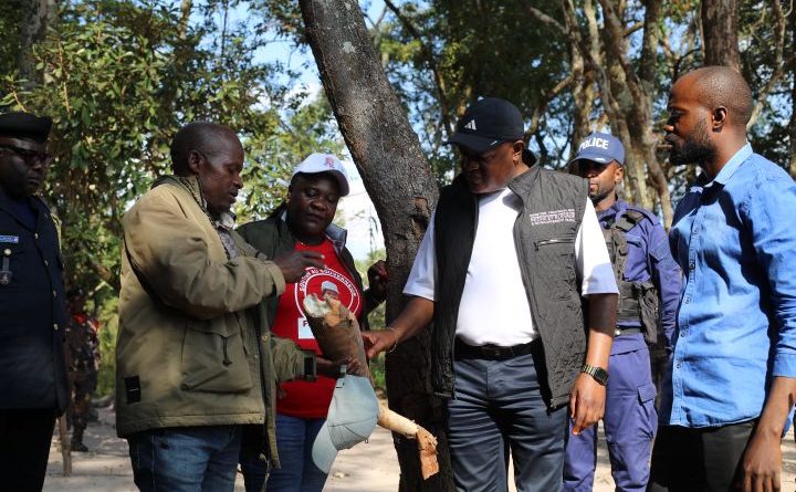 Lualaba : à Kasaji, le ministre Jean-Pierre Kalenga poursuit l’inspection des résultats des intrants agricoles Lualaba : à Kasaji, le ministre Jean-Pierre Kalenga poursuit l’inspection des résultats des intrants agricoles