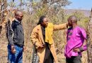 Lualaba : le projet de production des boutures de manioc initié par le Ministre Jean-Pierre Kalenga Mupataie en partenariat avec l’IITA entre dans sa phase opérationnelle